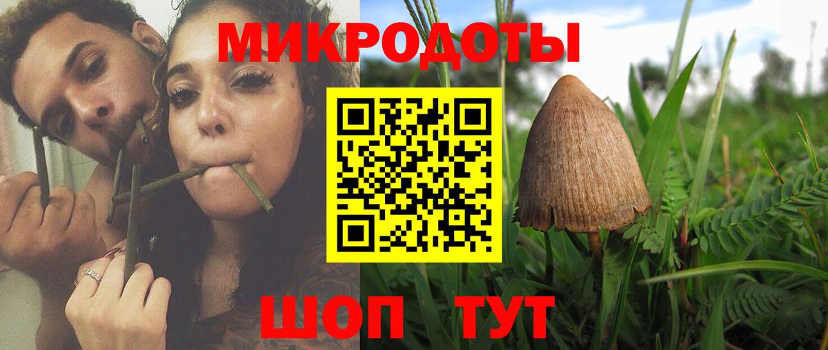 Нижнекамск  Псилоцибиновые грибы Psilocybine cubensis  Вход с VPN 
